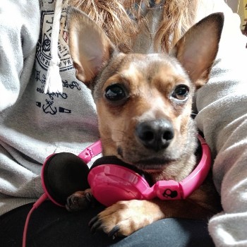 Boryana Yordanova image 8, Боряна Йорданова изображение 8